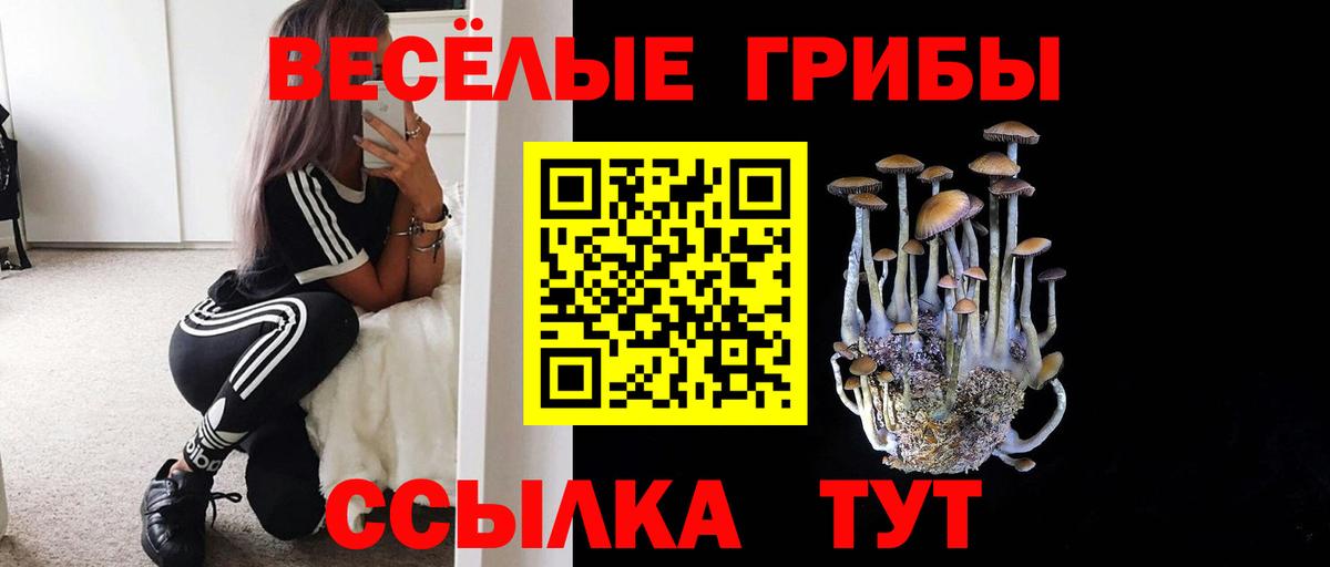 Галлюциногенные грибы MAGIC MUSHROOMS  Вход с VPN  Каменка 